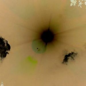 Meet your Posher, Kambria